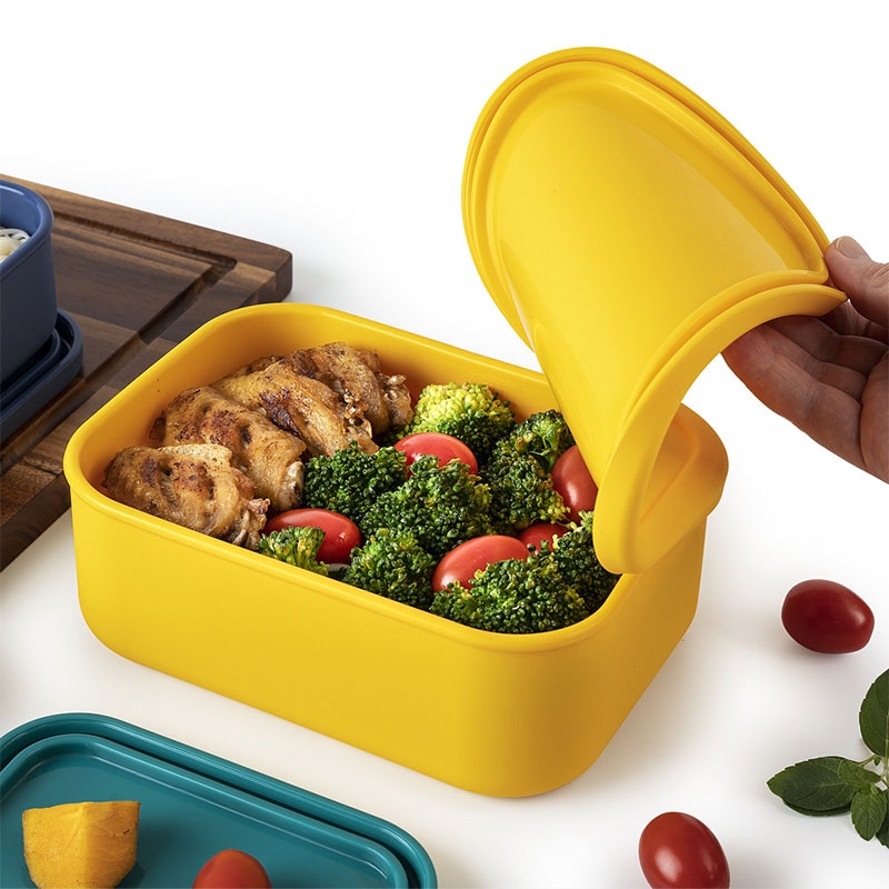 Set kotak makan silikon aman u - Food And Snacks For Picnic ulasan dan harga